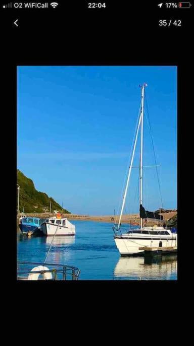 Park Gate, Colyton, Farm,Near Beaches-'Annie' Extérieur photo