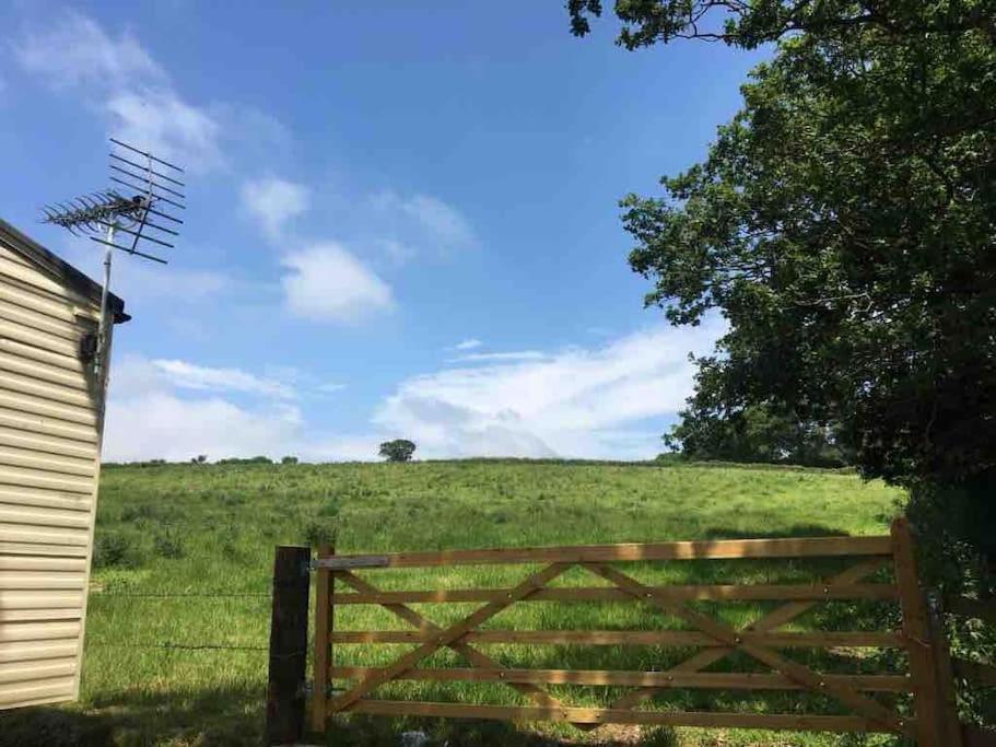 Park Gate, Colyton, Farm,Near Beaches-'Annie' Extérieur photo